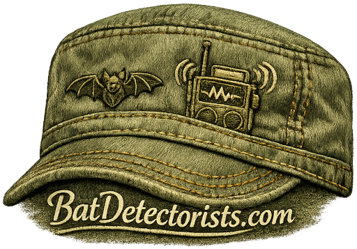 BatDetectorist Logo small