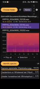 Bat AI - View recording and identify species