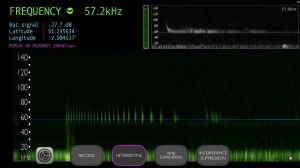 Bat Detector - Replay recorded bat file