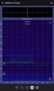 BatGizmo recorded file playback and review