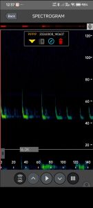 Playback a recording in EchoMeter